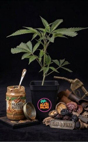 PB PB Breath